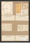 Orthoneis punctatissima (Grev.) Lagerst. (de-Toni-Nr.: Genus 41, Species 1910) Zeichnungen Sammlung Grunow Nr. 3794 (NHMW-BOT-W0371468)
